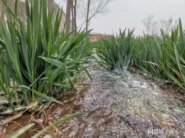 能做的5件事别忘了告诉家人不是迷信！端午三天假期最不(图2)